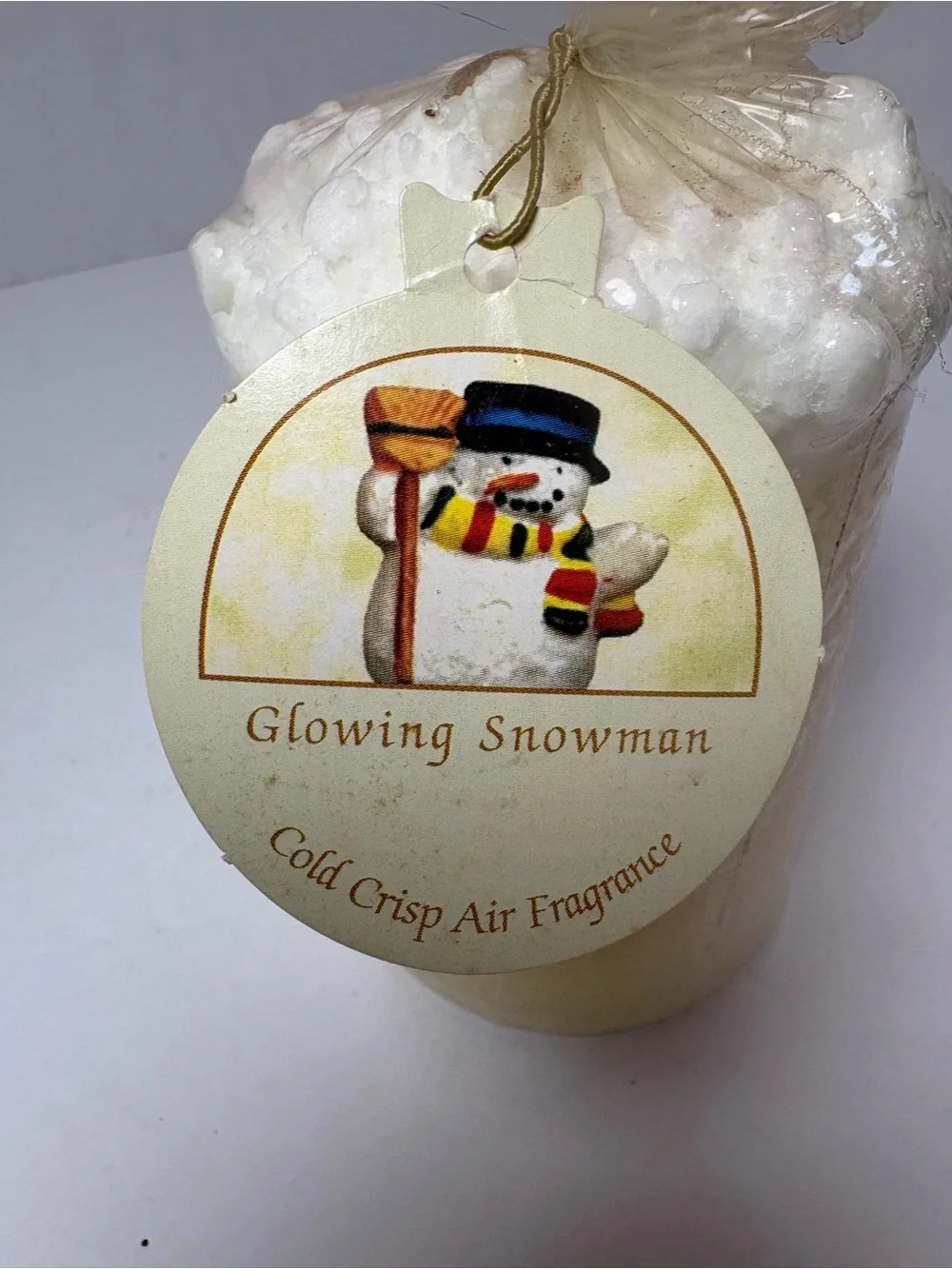 Hot Wax Candle Co Snowman Holiday Botanical Pillar Candle NWT